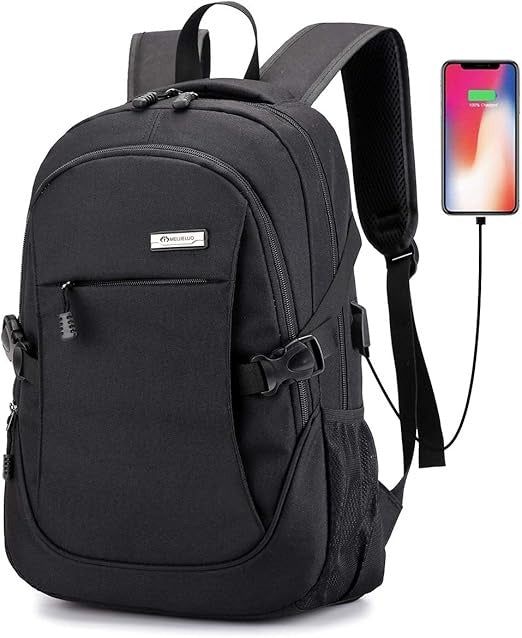 Bags (laptop bags, backpacks)